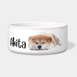 Akita -  dog breed bowl