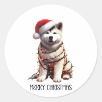 Akita Dog Wrapped In Christmas Light