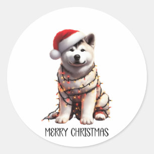Akita Dog Wrapped In Christmas Light Classic Round Sticker