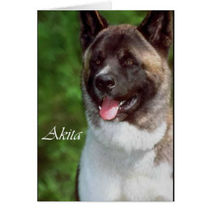 Akita Gifts of Art
