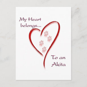 Akita Heart Belongs Postcard