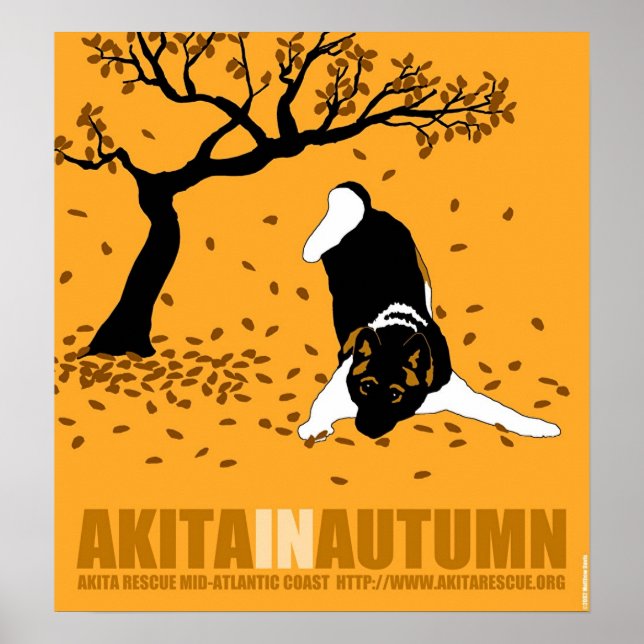 Akita in Autumn (18" x 19.5") Poster (Front)