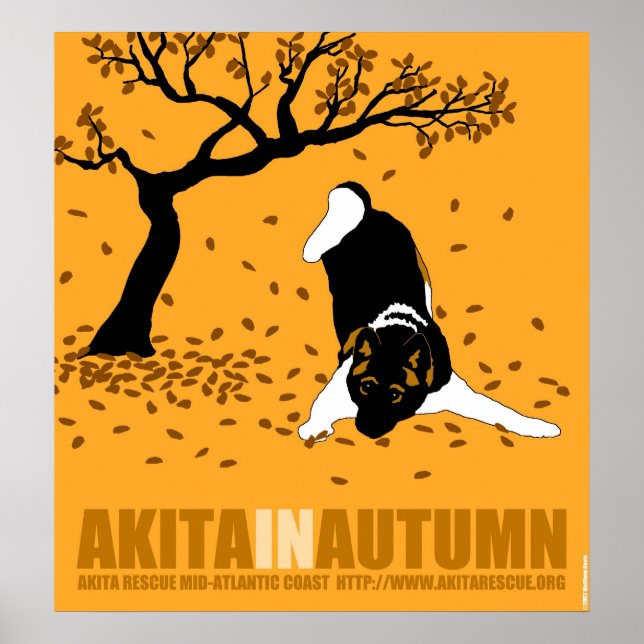 Akita in Autumn (24" x 26") Poster (Front)