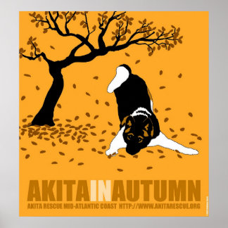Akita In Autumn (32" x 34.5") Poster