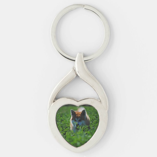 akita-in field key ring (Front)