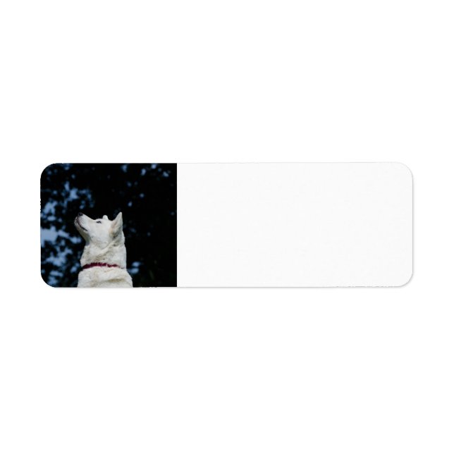 akita-inu-5.png return address label (Front)