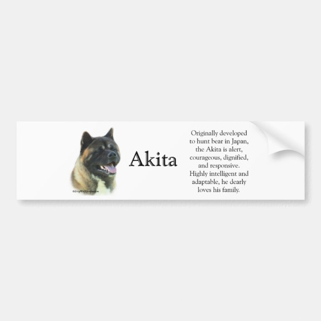 Akita Inu Trivia Bumper Sticker (Front)