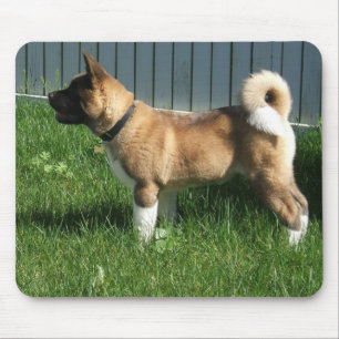 Akita mousepad