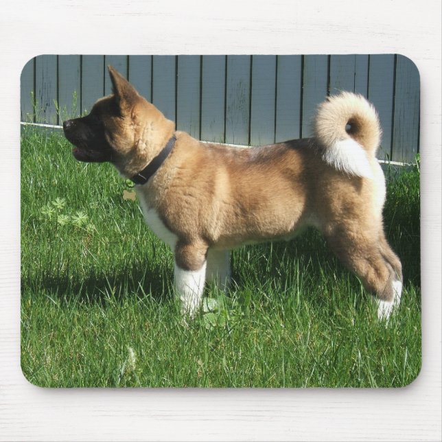 Akita mousepad (Front)