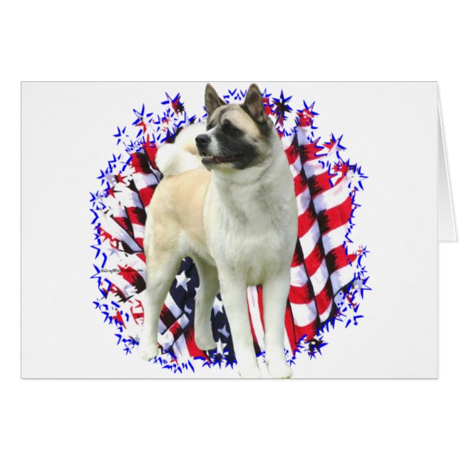 Akita Patriot (Front Horizontal)