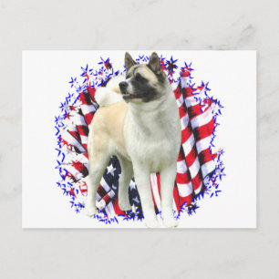 Akita Patriot Postcard