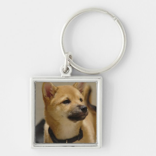Akita Pictures  Keychain (Front)
