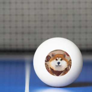 AKITA        PING PONG BALL
