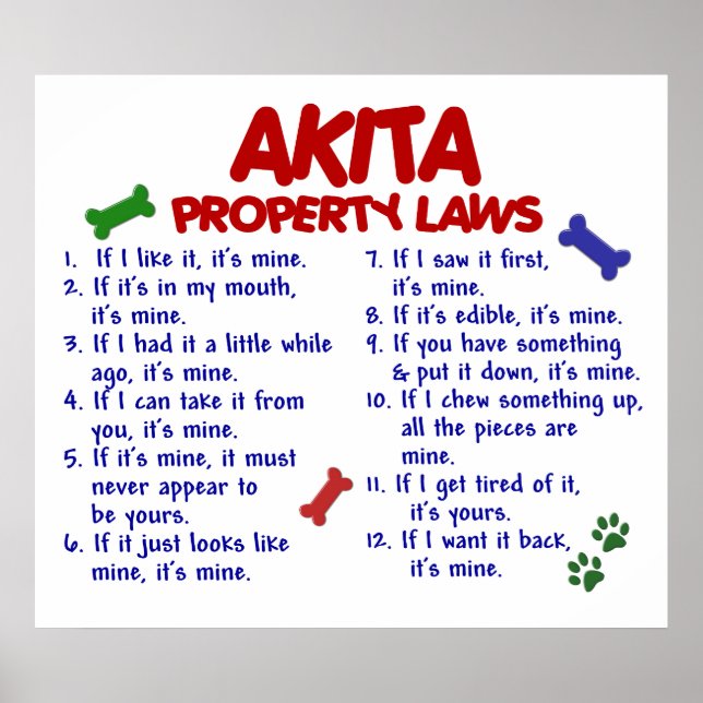 AKITA PL2 POSTER (Front)
