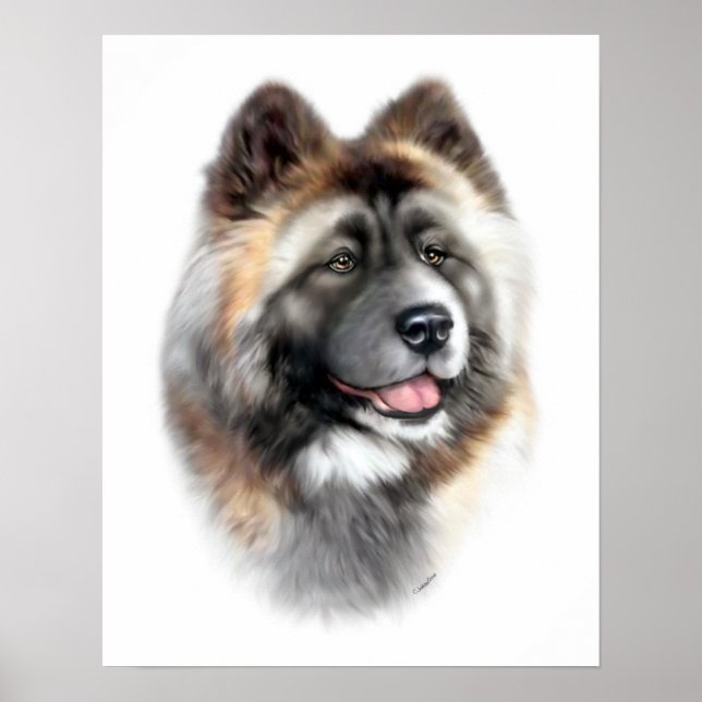 Akita Poster (Front)