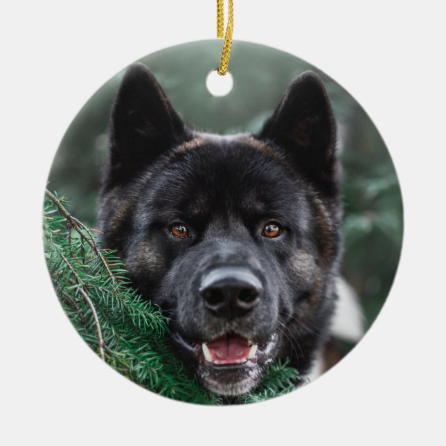 Akita Puppy Dog in A Pine Forest Christmas Ceramic Ornament (Front)