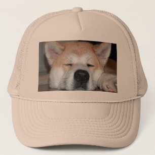 akita sleeping.png trucker hat