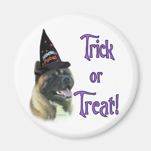 Akita Trick Magnet