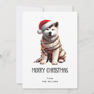 Akita Wrapped in Christmas Light Merry Christmas  Holiday Card
