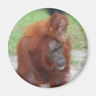 Akmad and Baby Boy Magnet