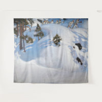 Akseli Gallen-Kallela - February Vision