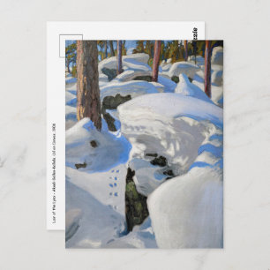 Akseli Gallen-Kallela - Lair of the Lynx Postcard