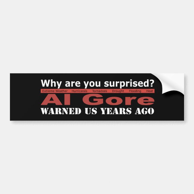 Al Gore Warned Us Bumper Sticker (Front)