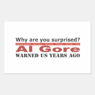 Al Gore Warned Us Rectangular Sticker