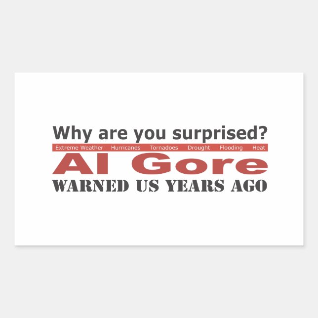 Al Gore Warned Us Rectangular Sticker (Front)