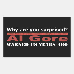 Al Gore Warned Us Rectangular Sticker
