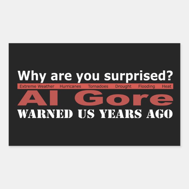 Al Gore Warned Us Rectangular Sticker (Front)