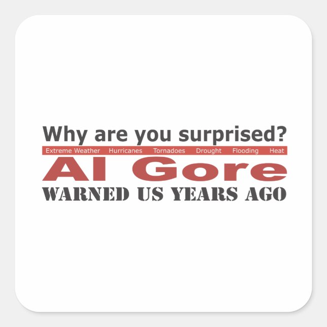 Al Gore Warned Us Square Sticker (Front)