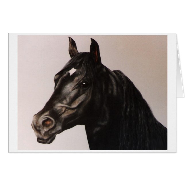 Al Zirr (Front Horizontal)