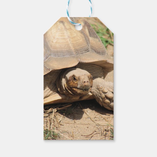 Ala aldabra gift tags (Front)