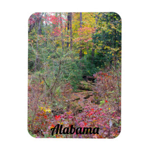 Alabama Autumn Landscape Magnet