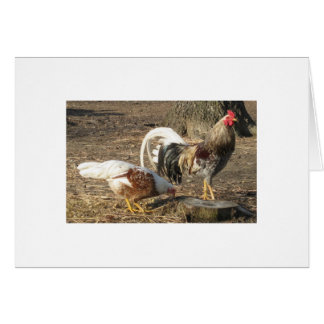 Alabama Blue Rubble Long-Tail Gamecock