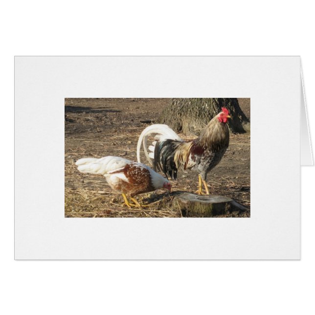 Alabama Blue Rubble Long-Tail Gamecock (Front Horizontal)