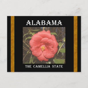 Alabama Camellia (Red) Postcard