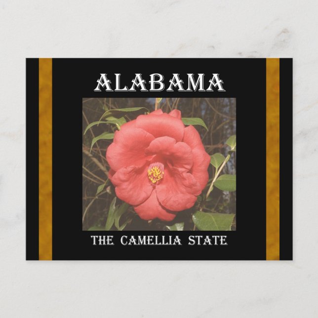 Alabama Camellia (Red) Postcard (Front)