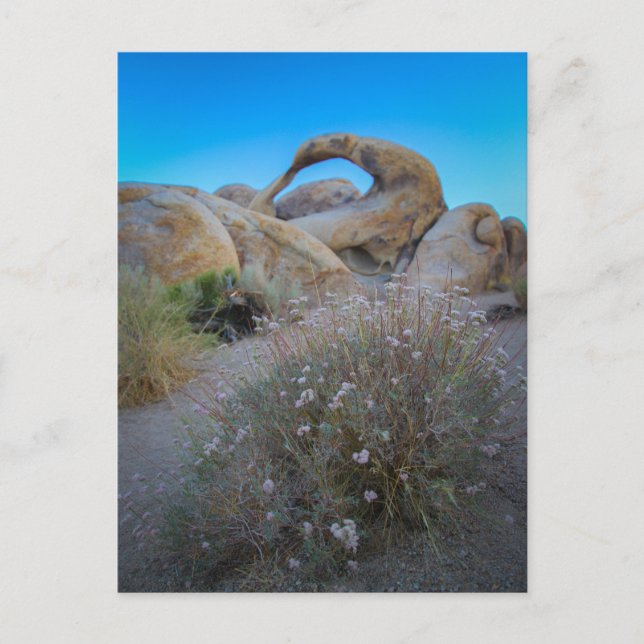 Alabama Hills Arch Postcard (Front)