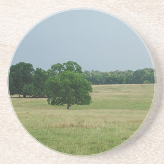Alabama Landscape Coaster (Front)