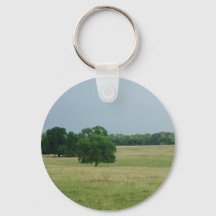 Alabama Landscape Key Ring