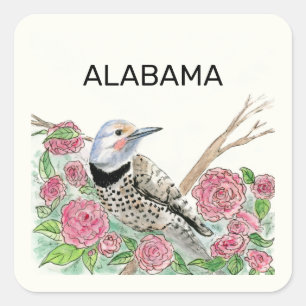 Alabama state bird and flower square sticker