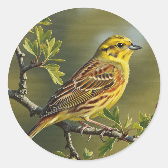 Alabama State Bird Yellowhammer Classic Round Sticker (Front)