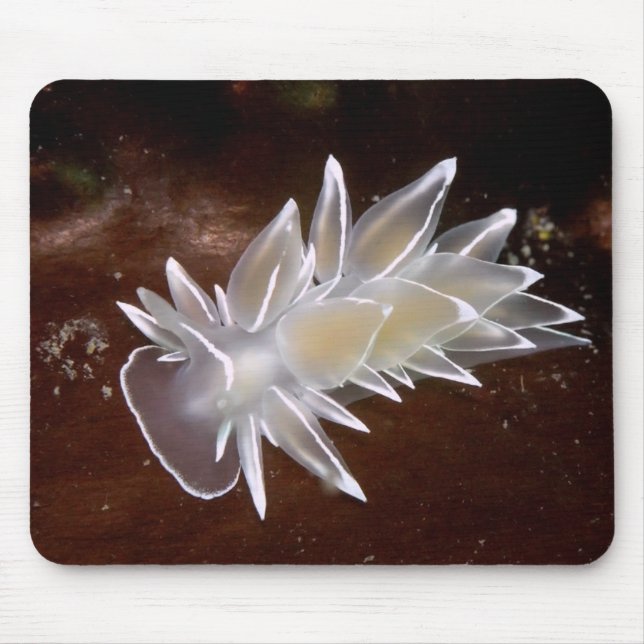 Alabaster Nudibranch Mouse Pad (Front)