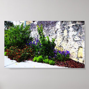 Alamo flowers poster