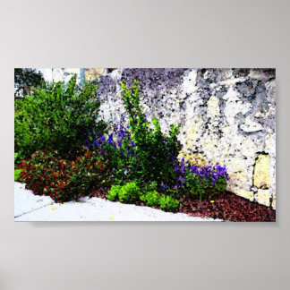 Alamo flowers poster