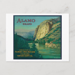 Alamo Orange LabelFillmore, CA Postcard