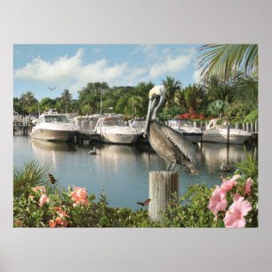 Alan Giana "Pelican Cove"  Poster