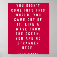 Alan Watts You Didnt Come Into This World You Came